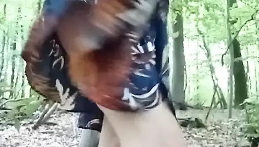 eylül ayında ormanda