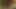 Sexy teasing with real intent. wet pussy girl masturbating, CEI, legs that stun!