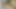 Sevimli Asyalı adamlar oral seks yapıyor