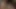 Teasing blowjob that slowly turned into her begging for my cum on her tongue
