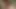 In the middle of a college field trip we took a detour with my partner to make a porn video