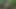 Fuck and Suck BIG Tits Stranger in Woods