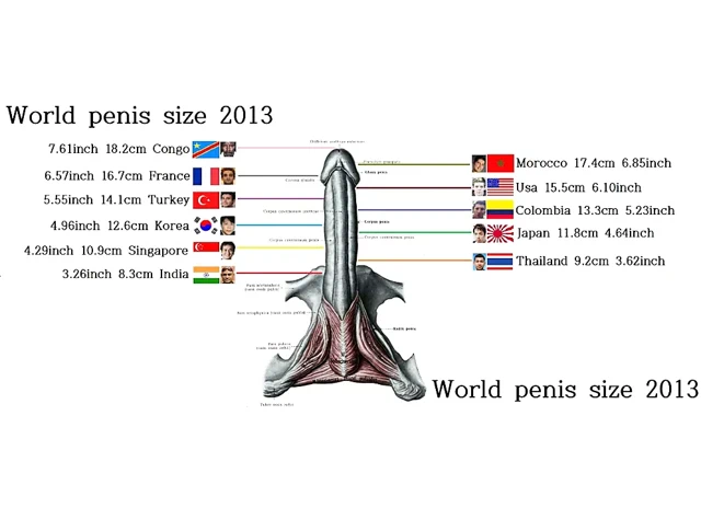 Dünyanın en küçük penis boyutu ülke sıralaması 2018