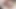 Pawgqueen Ryan Smiles kendine anal muamele çekiyor