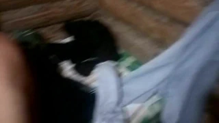 anal içinde the sauna