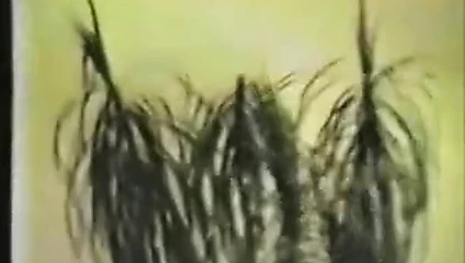 karısı fucks boğa ve sonra koca