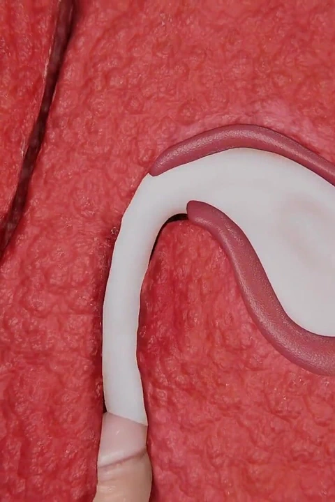 Yae Miko iyi bir rüya görür (çıplak)