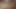 Bella rossi teaser 1