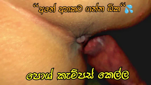 Özel bir kampüsten gösterişli bir kızla vahşi bir seks yaptı.