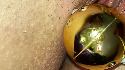 ıslak KEDİ karşılar oyuncaklar