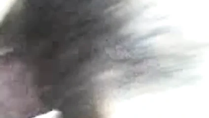 ploiesti new basarab