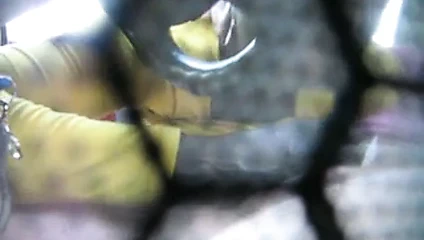 prostituta di colore spiata