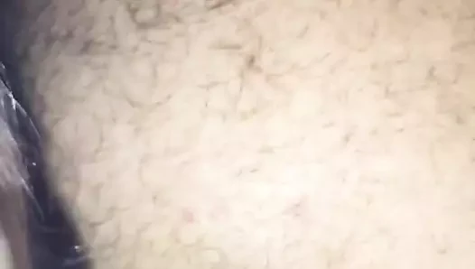 lanet bir ayı dostum