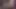 Quid Pro Quo