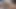 Latina swinger belle bir roxxxa kahrolası gerçek fetswingers
