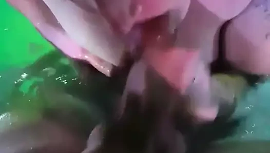 Fransız enayi amatör