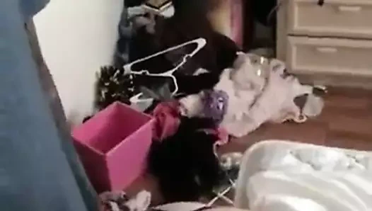 Aptal sürtük BBC'yi dener, sonra dışarı çıkar!