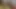 Travesti fahişeyi sikiyor 9