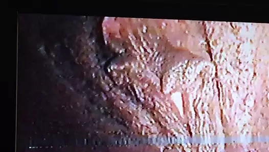 Sikini boğazıma koy