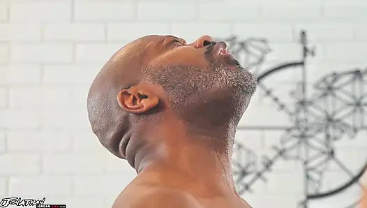 12 sert kölelik inç 2