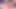 Little Exhibitionist