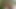 Givemepink yapay penis oyun ile sıcak subil arch