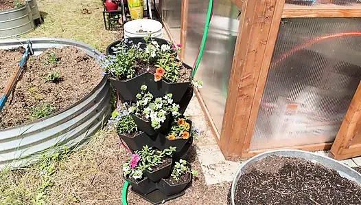 Spring Greenhouse Tour