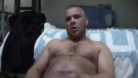 İngiliz ayı yalnız