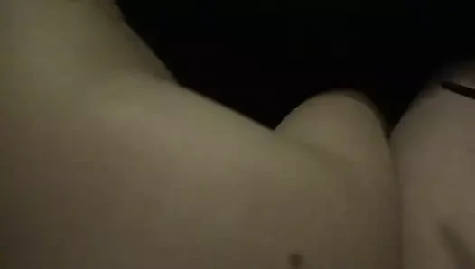 Japon bwc köpek inilti