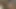 Bu edepsiz lezbiyenler nihai bir zevk için amlarını genişleterken seks oyuncakları kullanmayı seviyor