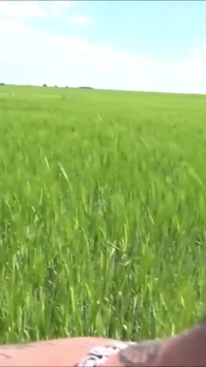 Alman kaltak ayartmak için sikme açık tarafından iki yabancı için nakit | Klip 1
