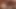 Hotkinkyjo kısa üstte Mrhankey'den danas grip dildo ile götünü sikiyor ve harabelerde anal sarkma