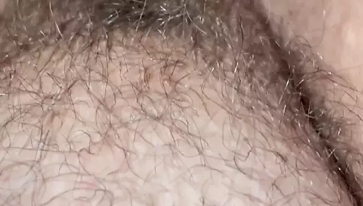 Bbw gf ile bir kıllı kedi