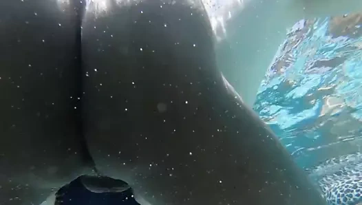 Bbw seksi bayan var havuz parti seks ile siyah horoz