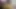 White ass Riding on top of her stepfather's penis, stepdaughter takes the opportunity to fuck him when her mother is not at home