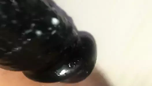 Kremsi kedi üzerinde siyah yapay penis