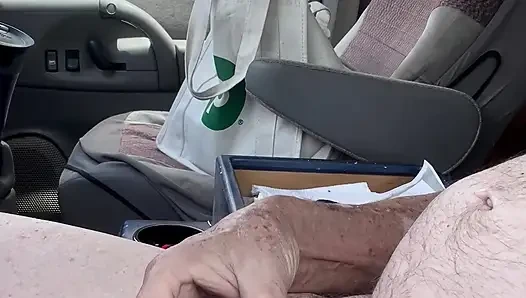 Dick Play In The Van
