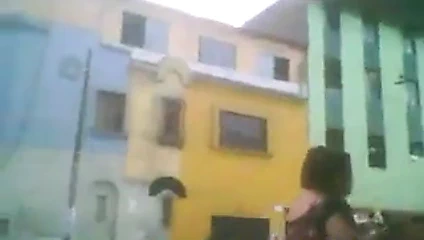 puerca blanca