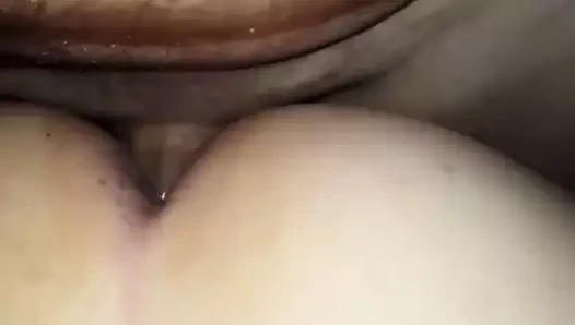 Midesi fındıkla dolu