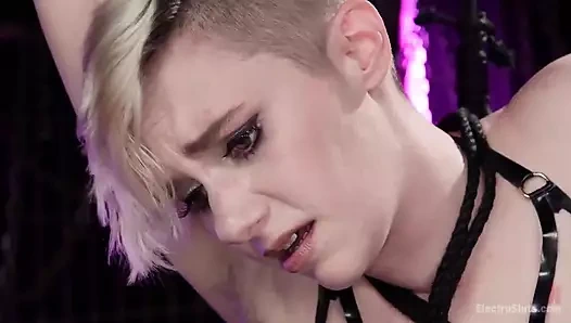 Cherry Torn yeni lezbiyen elektro köleyi eğitiyor