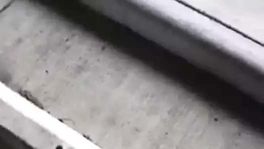 daha iyi açı ile eşek