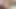 İki amatör Afrikalı kız ilk kez birbirleriyle ve salatalıkla oynuyor