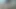tavşan web kamerası