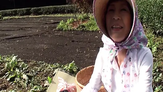 Shizuoka'da çay çiftliği işleten olgun kadın birkaç yıl önce av görünmeye karar verdi