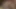 Kötü sesin en iyi animasyonlu 3 boyutlu porno derlemesi 298
