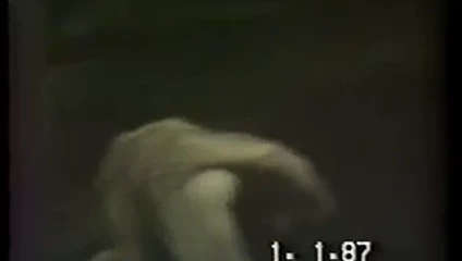 Karanlık bir motelde 5