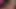 Poonam Pandey'in ev videosu sızdırıldı
