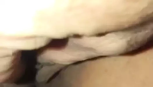 Gösterilen kapalı rachel kedi itibaren ön taraftan