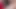Scarlett döl fragmanında kaplanıyor