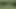 Sexy German slut fucked in the high grass